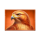 charge bison ascent eagle symbol icon