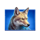 charge bison ascent wolf symbol icon