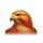 charge bison eagle symbol icon