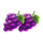 charge the reels grape symbol icon