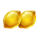 charge the reels lemon symbol icon