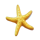 cherry bomber starfish symbol icon