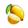 cherry cherry baby lemon symbol icon