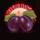 cherry fiesta plum symbol icon