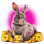 chests of cai shen infinity rabbit symbol icon