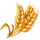 chicken burst extra golden wheat symbol icon