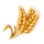 chicken burst paddy symbol icon