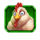chicken chase 11 icon