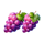 chicken coin grape symbol icon
