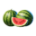 chicken coin melon symbol icon
