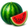 chicken crown watermelon symbol icon