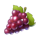 chicks in vegas grapes symbol icon