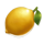 chicks in vegas lemon symbol icon