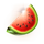 chicks in vegas watermelon symbol icon