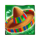 chili poppers sombrero symbol icon