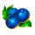 chili xxx bluberries symbol icon