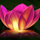 china river lotus symbol icon