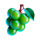 chris777mas grapes symbol icon