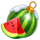 christmas coin watermelon symbol icon