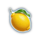 citrus splash deluxe lemon symbol icon