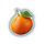 citrus splash deluxe tangerine symbol icon