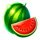 classic chilli 100 watermelon symbol icon