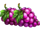 clover energy grapes symbol icon