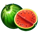 clover energy watermelons symbol icon