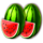 clover respin melons symbol icon