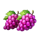 clover strike hold and win grapes symbol icon