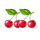 clover super pot cherries symbol icon
