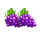 clover super pot grapes symbol icon