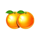 clover super pot oranges symbol icon