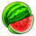clovers and diamonds 5 melon symbol icon