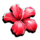 club tropicana happy hour flower symbol icon