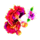 coco loco cash bonus recharge flowers symbol icon