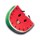 coconut chaos watermelon symbol icon