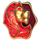 codex of fortune lion symbol icon