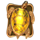 codex of fortune turtle symbol icon