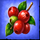 coffee explosion fruit symbol icon