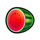 coin dazzle watermelon symbol icon
