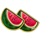 coin inferno step n stack watermelon symbol icon