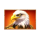 coin nonet bison 3x3 hold and win eagle symbol icon