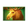 coin nonet bison 3x3 hold and win moose symbol icon
