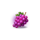 coin nonet unlimited fortune hold and win grape symbol icon