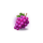 coin of lightning 2 grape symbol icon