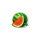 coin of lightning watermelon symbol icon
