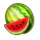 coin splash watermelon symbol icon