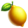 coin storm xmas yellow lemon symbol icon