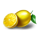 coin win express hold the spin lemon symbol icon